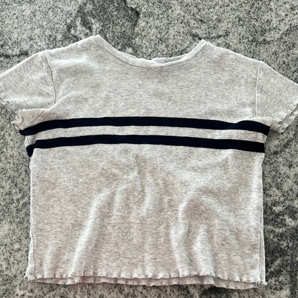 Brandy Melville Cropped T Shirt